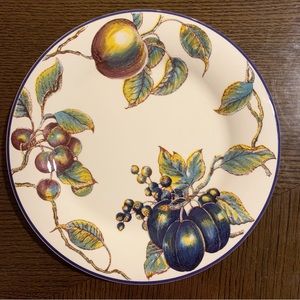 Pier 1 MACINTOSH Dinner Plates - set of 2 plates - Earthenware